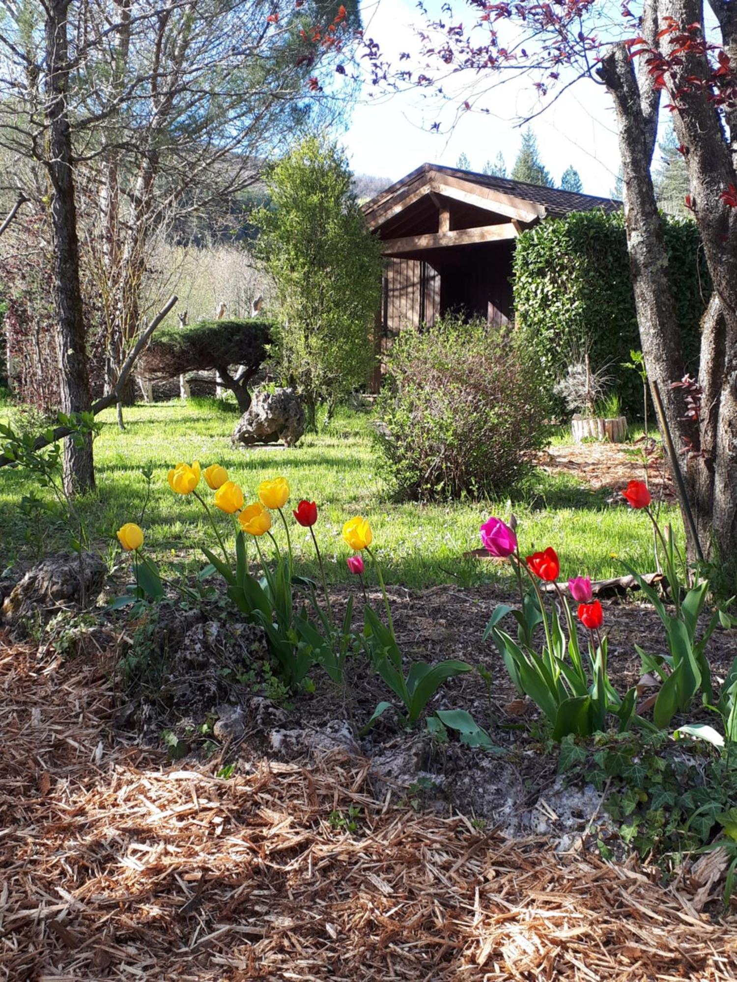 Les Chalets Du Roc Alzon 外观 照片
